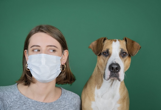 فيروس كورونا : هل يمكن الإصابة به عن طريق الطعام أو حيوانات المزرعة والحيوانات الأليفة ؟